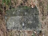 image of grave number 740215